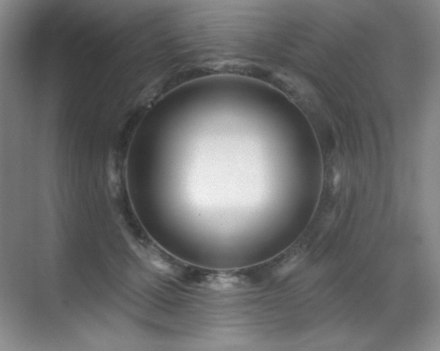 X0000071940607200607071146