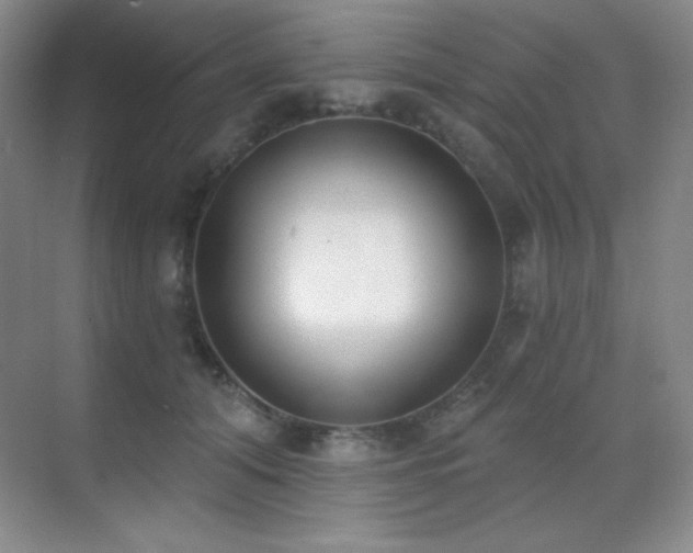 X0000071940608200607071146