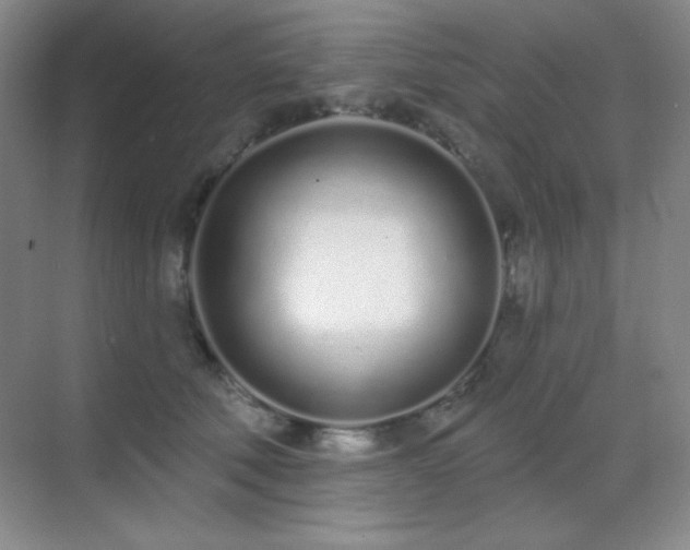 X0000071940610200607071146