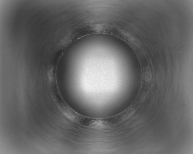 X0000071940611200607071146
