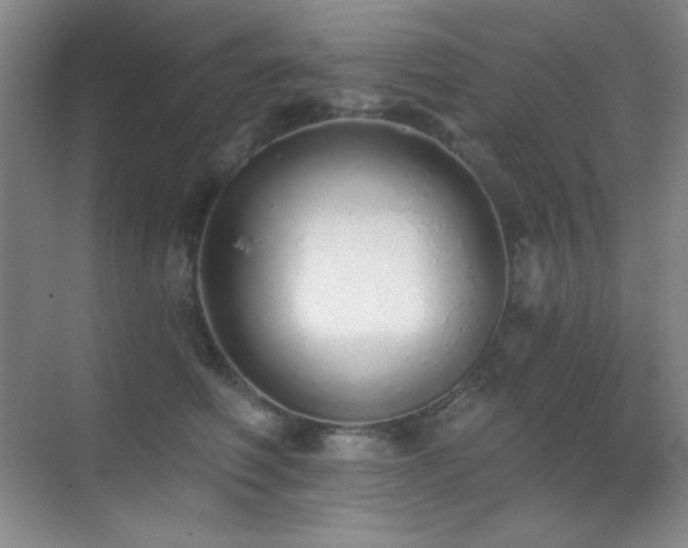 X0000071940614200607071146