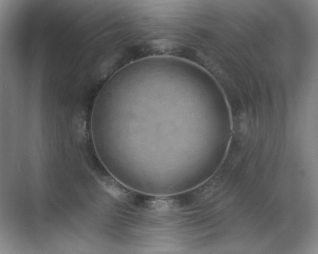 X0000071940615200607071146