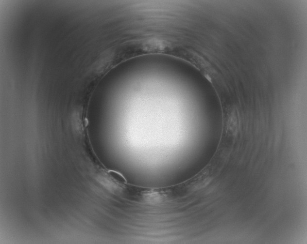 X0000071940616200607071146