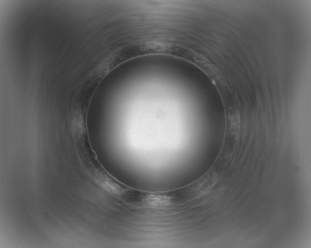 X0000071940617200607071146