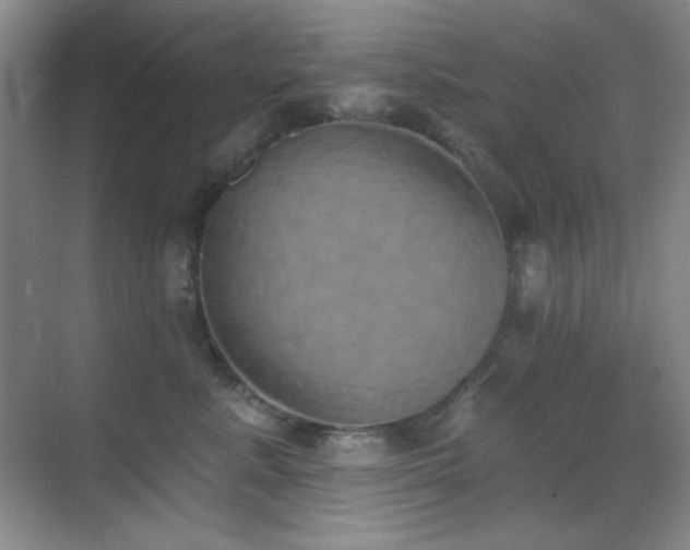 X0000071940619200607071146