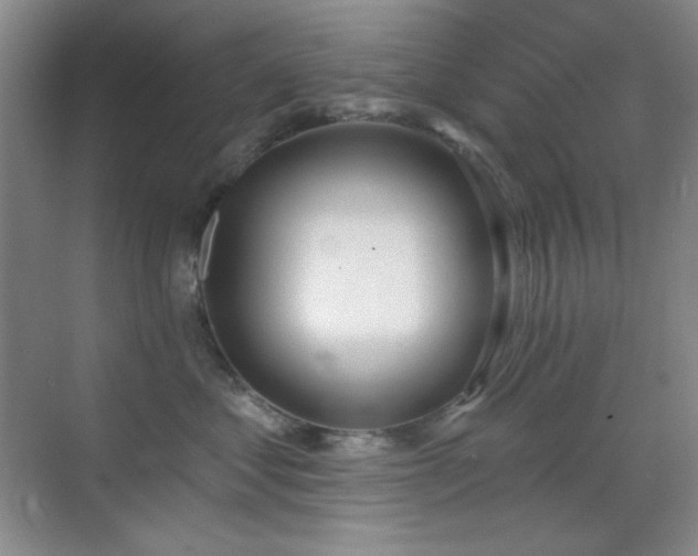 X0000071940621200607071146