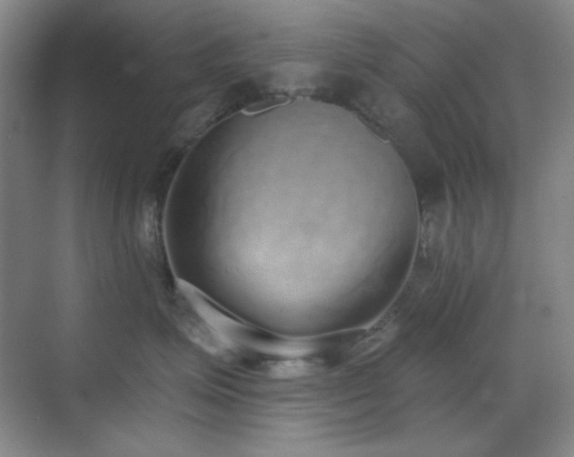 X0000071940623200607071146