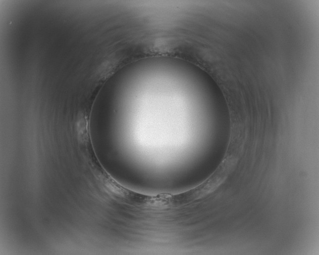X0000071940624200607071146