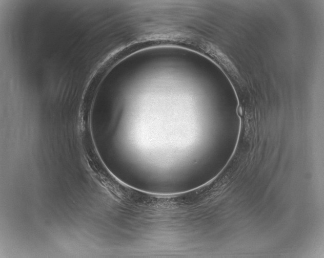 X0000071940628200607071145