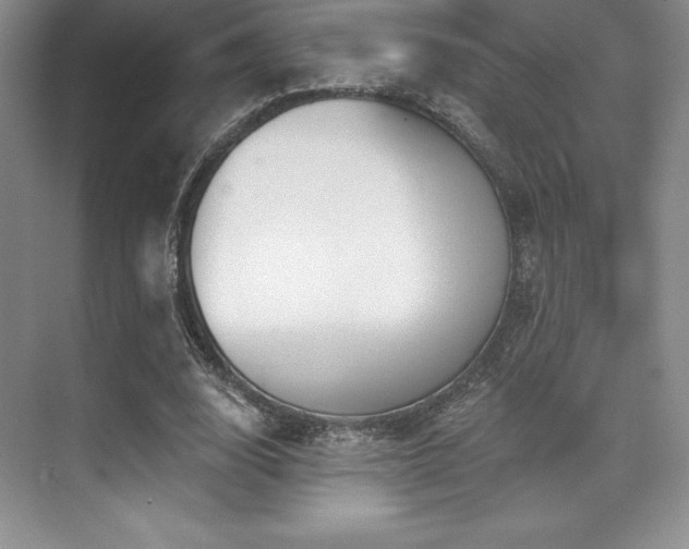 X0000071940632200607071145