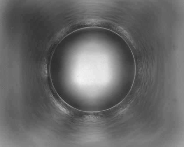 X0000071940633200607071145