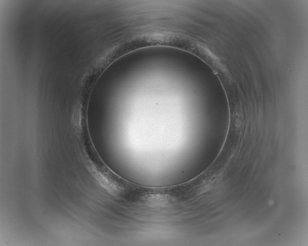 X0000071940637200607071145