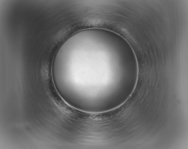 X0000071940640200607071145