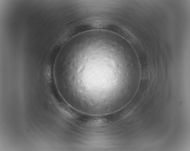 X0000071940646200607071145