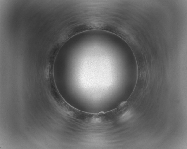 X0000071940647200607071145