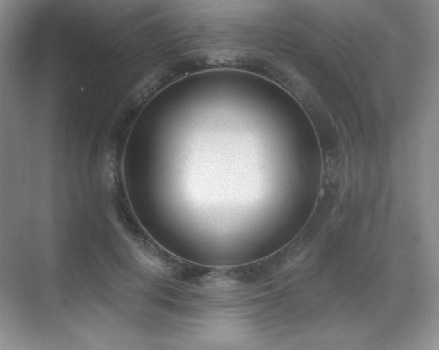 X0000071940648200607071145
