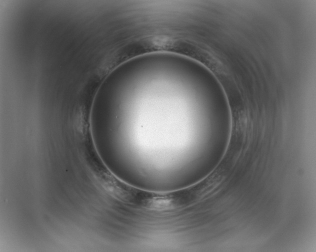 X0000071940651200607071145
