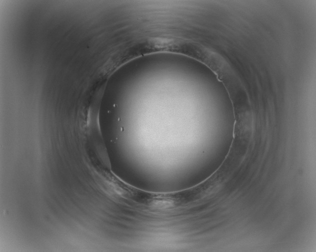 X0000071940653200607071145