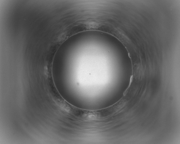 X0000071940655200607071145