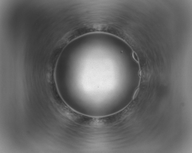 X0000071940656200607071145
