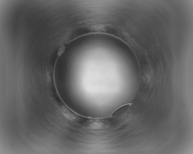X0000071940658200607071145