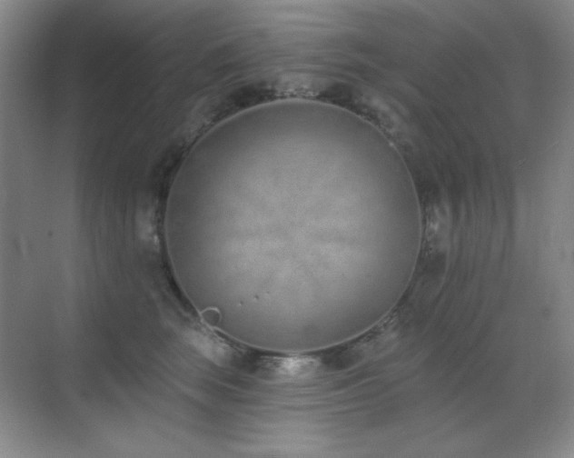 X0000071940663200607071145