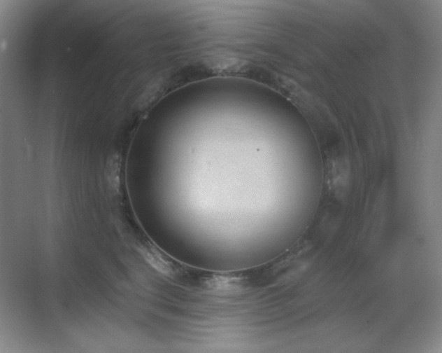 X0000071940664200607071145