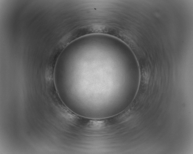 X0000071940665200607071145