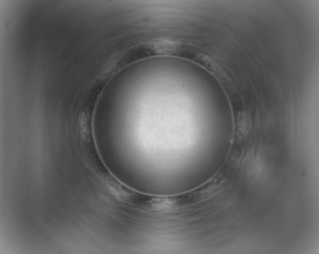 X0000071940667200607071145