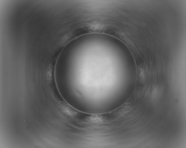 X0000071940668200607071145