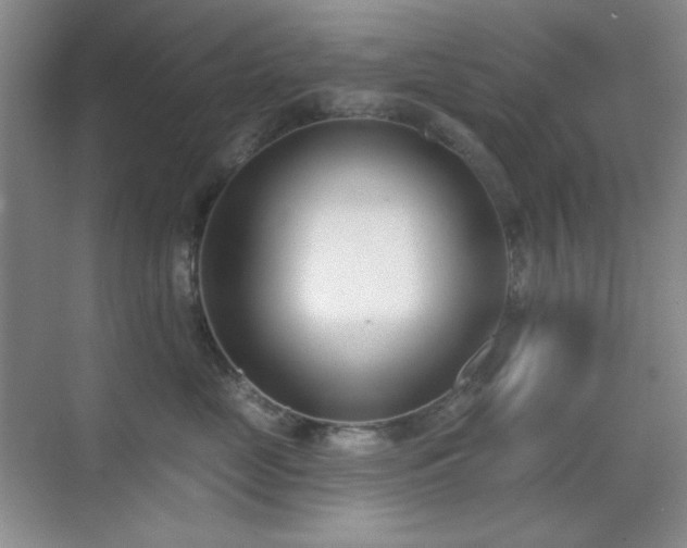 X0000071940669200607071145