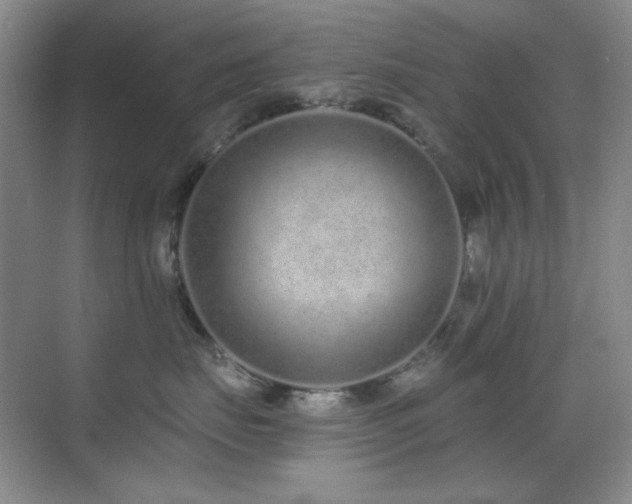X0000071940671200607071145