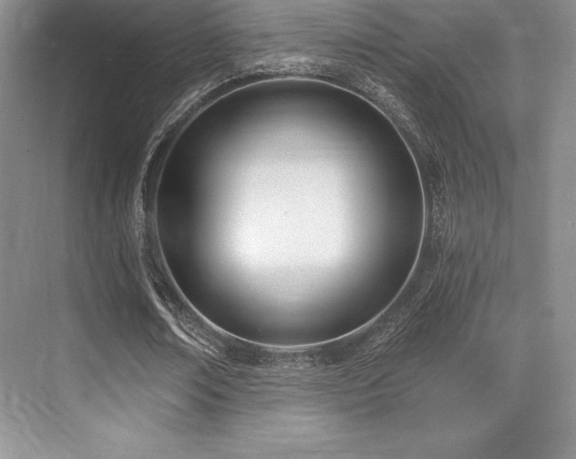 X0000071940674200607071145