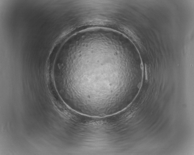 X0000071940675200607071145