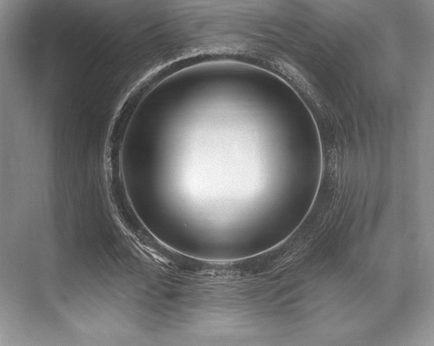 X0000071940676200607071145