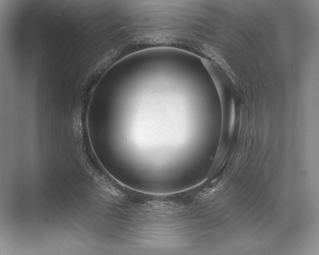 X0000071940681200607071145