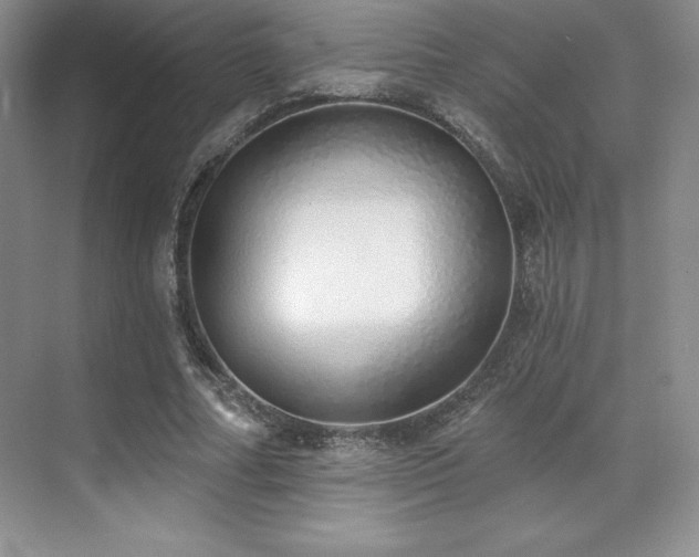 X0000071940682200607071145