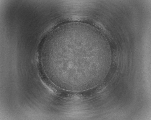 X0000071940683200607071145
