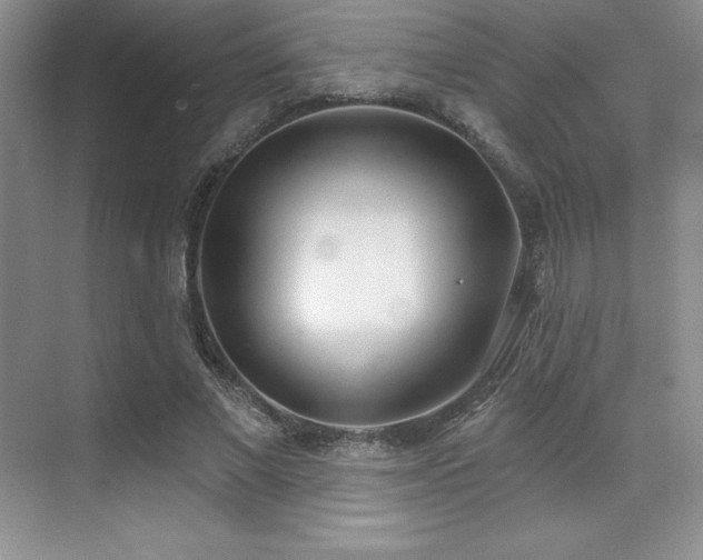 X0000071940685200607071144