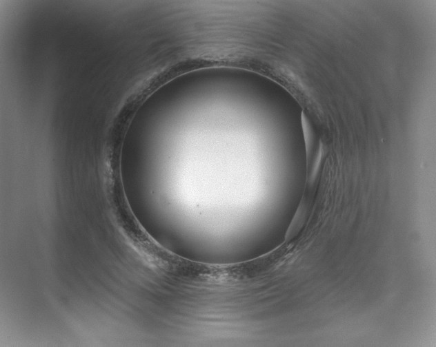 X0000071940688200607071144