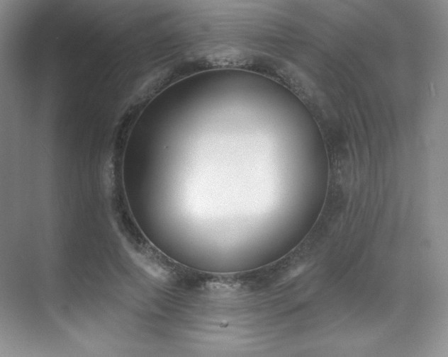 X0000071940690200607071144