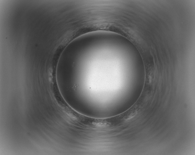 X0000071940693200607071144