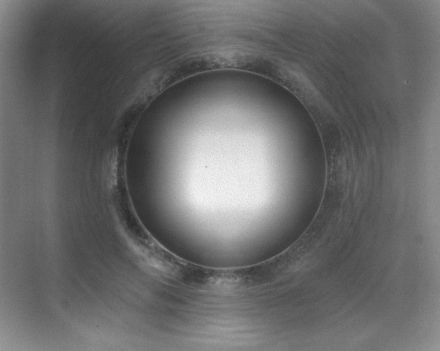 X0000071940694200607071144