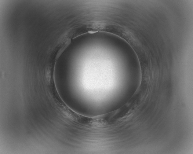 X0000071940697200607071144