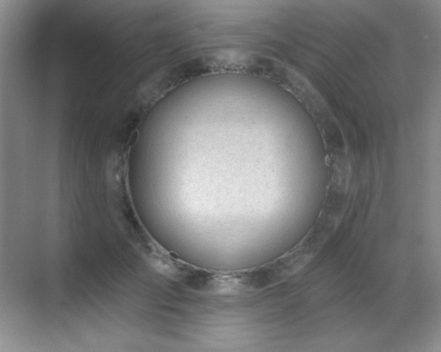 X0000071940701200607071144