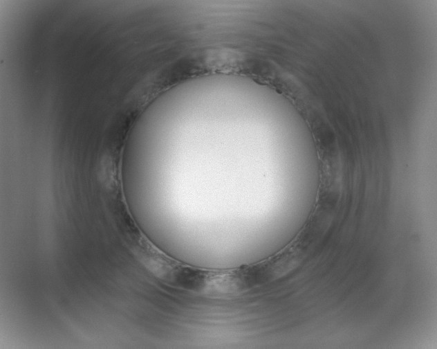 X0000071940705200607071144