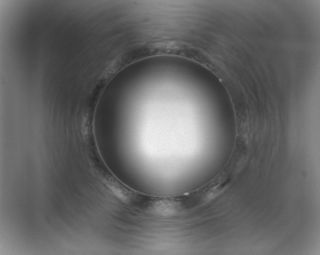 X0000071940708200607071144