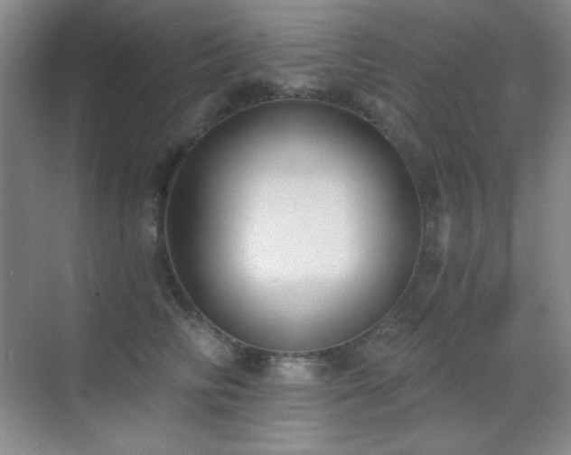 X0000071940710200607071144
