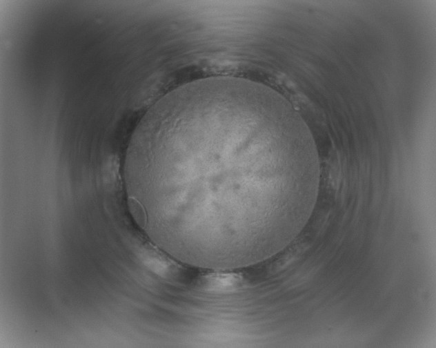 X0000071940711200607071144