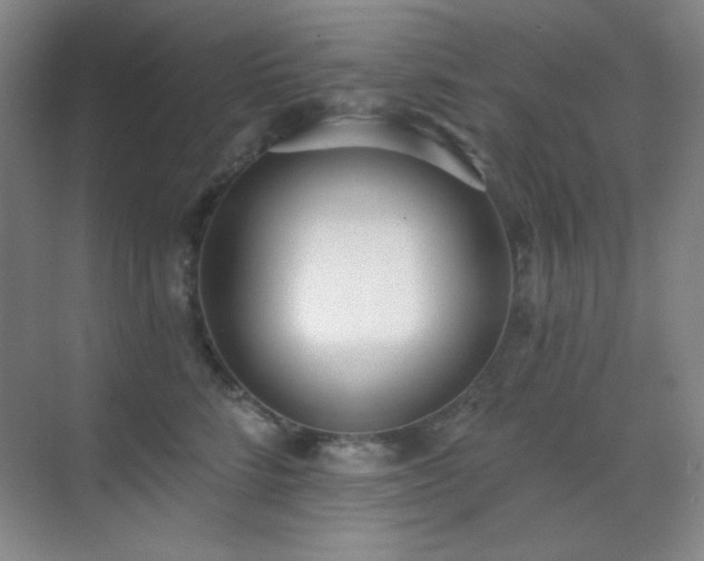 X0000071940712200607071144